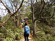 PB150040.JPG (954351 bytes)
