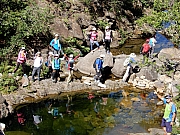 PB220093.JPG (806859 bytes)
