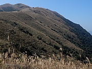 PC060050.JPG (613617 bytes)