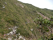 PC130045.JPG (658204 bytes)