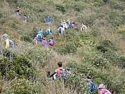 PC130145.JPG (863531 bytes)