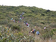 PC130146.JPG (714745 bytes)