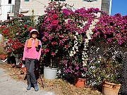 PC270007.JPG (732098 bytes)