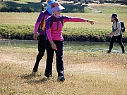 PC270046.JPG (610021 bytes)