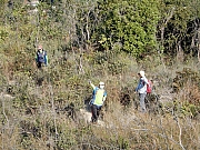 P1030055.JPG (971840 bytes)