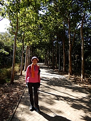 P1030136.JPG (688473 bytes)