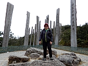 P1100051.JPG (341898 bytes)