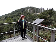 P1100058.JPG (526415 bytes)