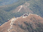 P1100077.JPG (315159 bytes)