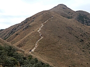 P1100101.JPG (425083 bytes)