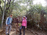 P1170011.JPG (850652 bytes)