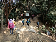 P1170018.JPG (820283 bytes)