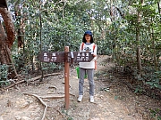 P1170022.JPG (990753 bytes)