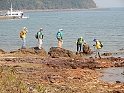 P1170055.JPG (767672 bytes)