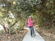 P1170077.JPG (893545 bytes)