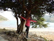 P1170120.JPG (729536 bytes)