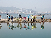 P1170138.JPG (424417 bytes)