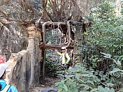 P1170170.JPG (706428 bytes)