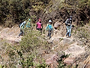 P1310013.JPG (1182035 bytes)