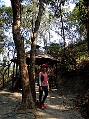 P2140061.JPG (856764 bytes)