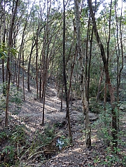 P2140062.JPG (1019929 bytes)