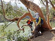 P2140067.JPG (644397 bytes)