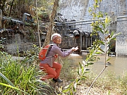 P2140077.JPG (877398 bytes)