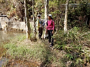 P2140079.JPG (1192946 bytes)