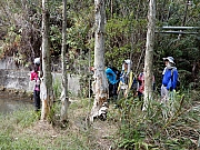 P2140082.JPG (1172023 bytes)