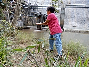 P2140088.JPG (961351 bytes)