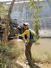 P2140092.JPG (885139 bytes)