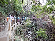 P2210008.JPG (833811 bytes)