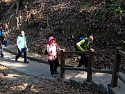 P2210009.JPG (552053 bytes)