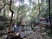 P2210017.JPG (841972 bytes)