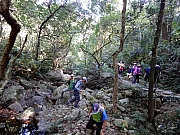 P2210018.JPG (777177 bytes)