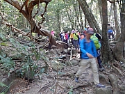 P2210033.JPG (540114 bytes)