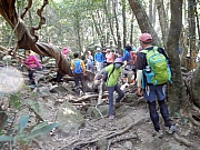 P2210034.JPG (511707 bytes)