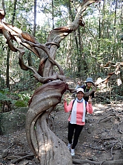 P2210037.JPG (788546 bytes)