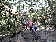 P2210039.JPG (560397 bytes)