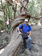 P2210043.JPG (656709 bytes)