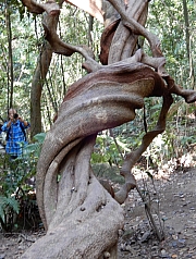 P2210045.JPG (557593 bytes)