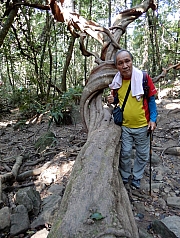P2210046.JPG (687313 bytes)