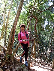 P2210051.JPG (729373 bytes)