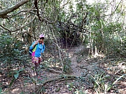 P2210059.JPG (846789 bytes)