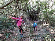 P2210060.JPG (874618 bytes)