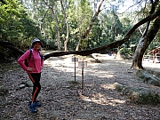 P2210069.JPG (988316 bytes)