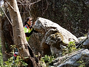 P2210077.JPG (884954 bytes)