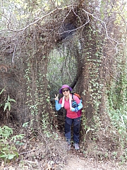 P2280093.JPG (989894 bytes)