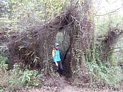 P2280095.JPG (983181 bytes)
