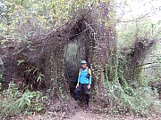 P2280096.JPG (946647 bytes)